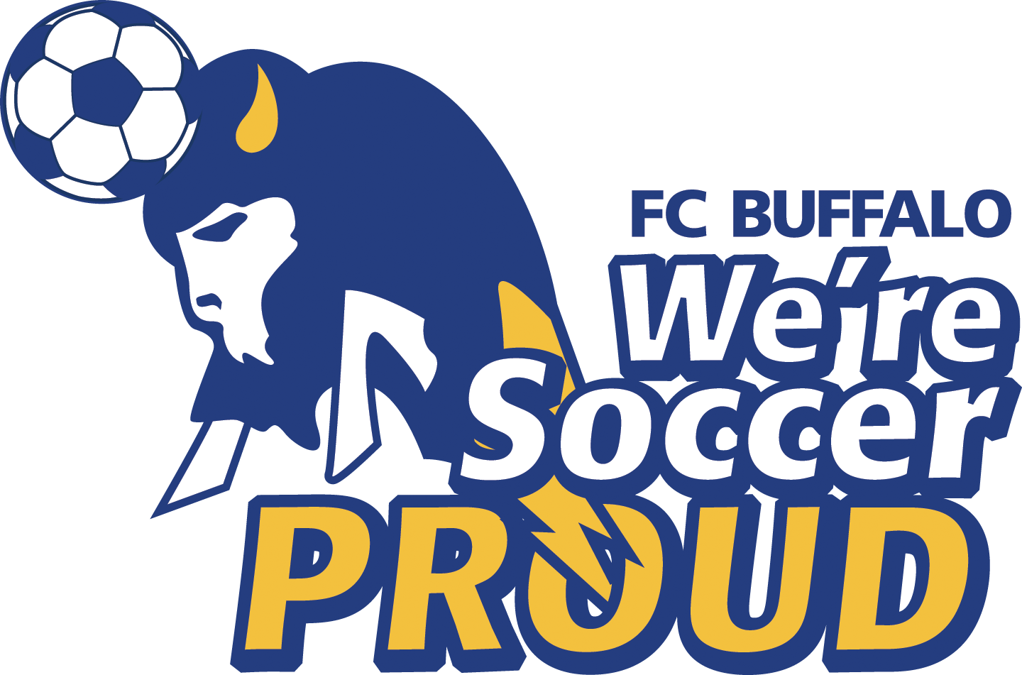 Soccer For Sale! – FC Buffalo